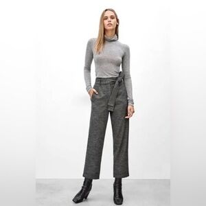 Aritzia Tie Front Wool Pant